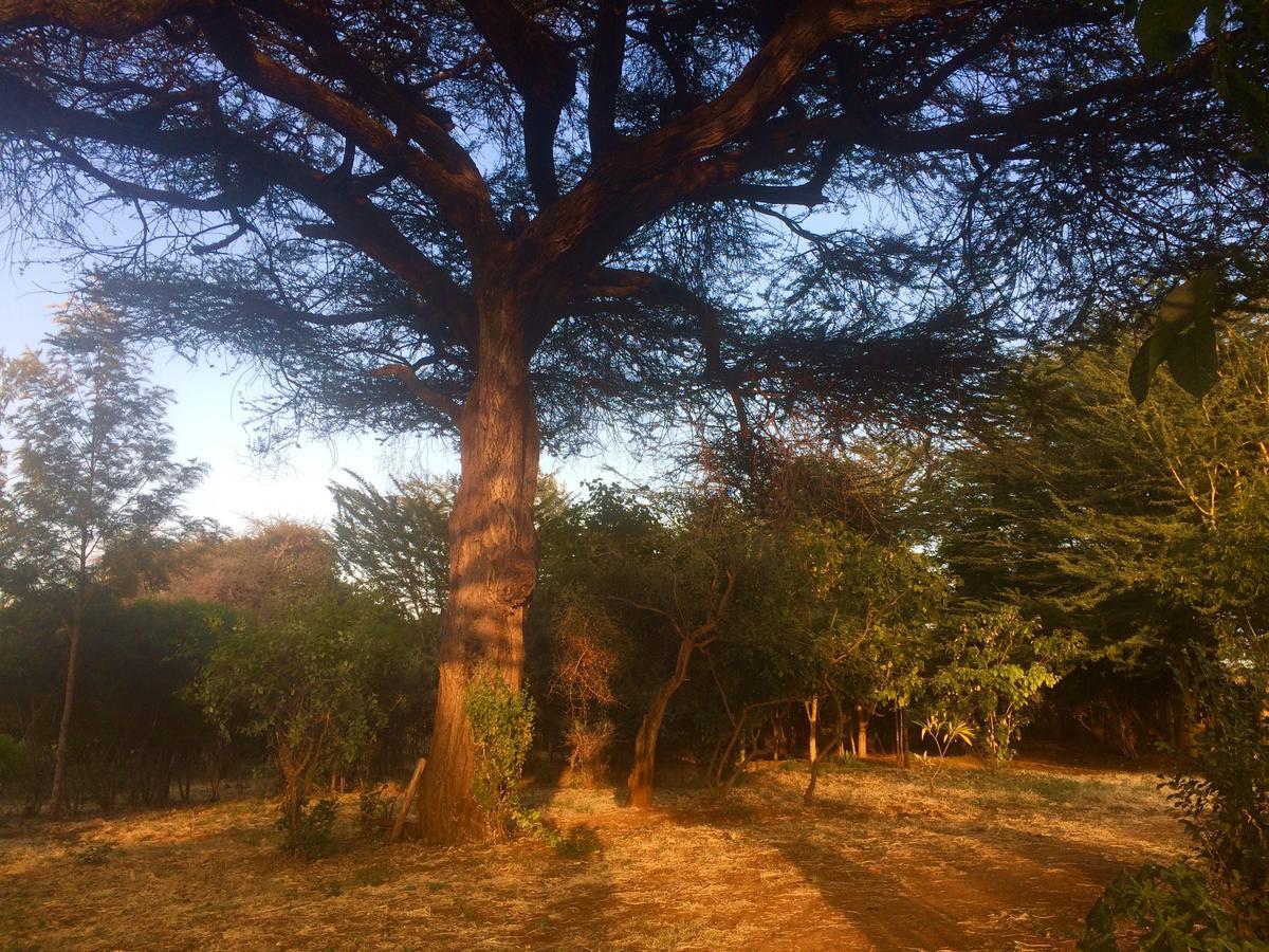 Amboseli Eco Campヴィラ エクステリア 写真