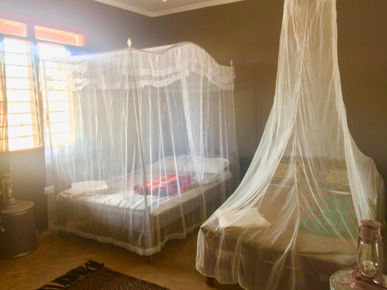Amboseli Eco Campヴィラ エクステリア 写真
